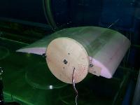 100_0671.JPG